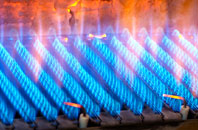 Gaunts Earthcott gas fired boilers